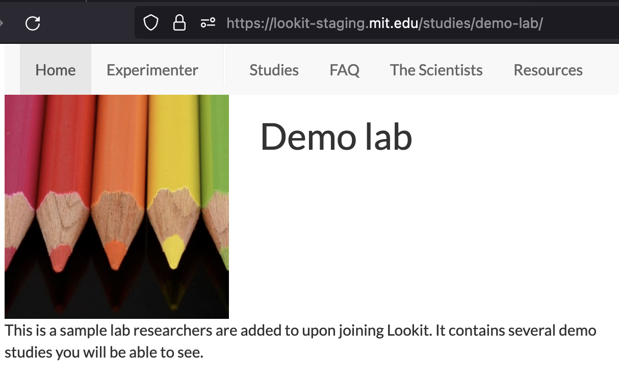 Demo Lab page with square badge image